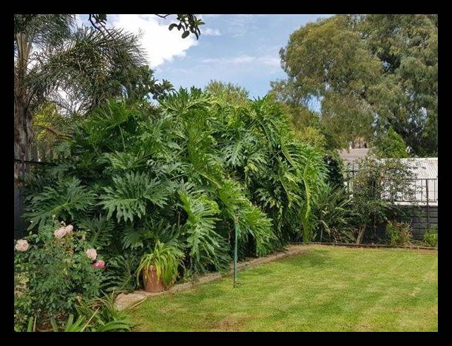 4 BEDROOM HOUSE FOR SALE IN EDLEEN